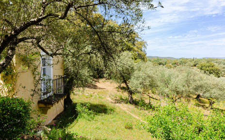 Un ambiente natural muy especial